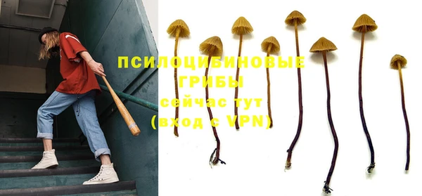 гашиш Осташков