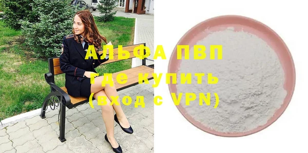 СК Пересвет
