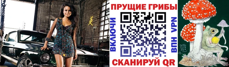 Галлюциногенные грибы прущие грибы  магазин    Подольск 