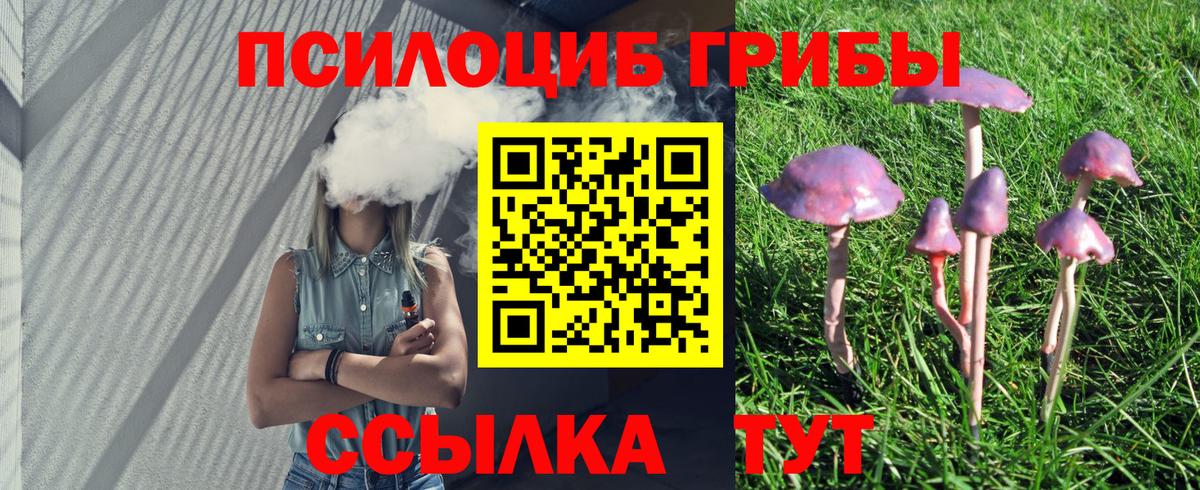 Псилоцибиновые грибы мицелий Подольск