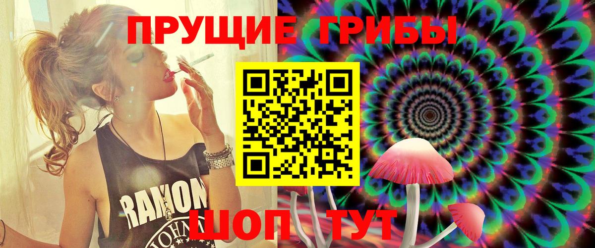 Подольск  Галлюциногенные грибы Psilocybine cubensis  купить наркоту  Вход с VPN  Псилоцибиновые грибы прущие грибы 